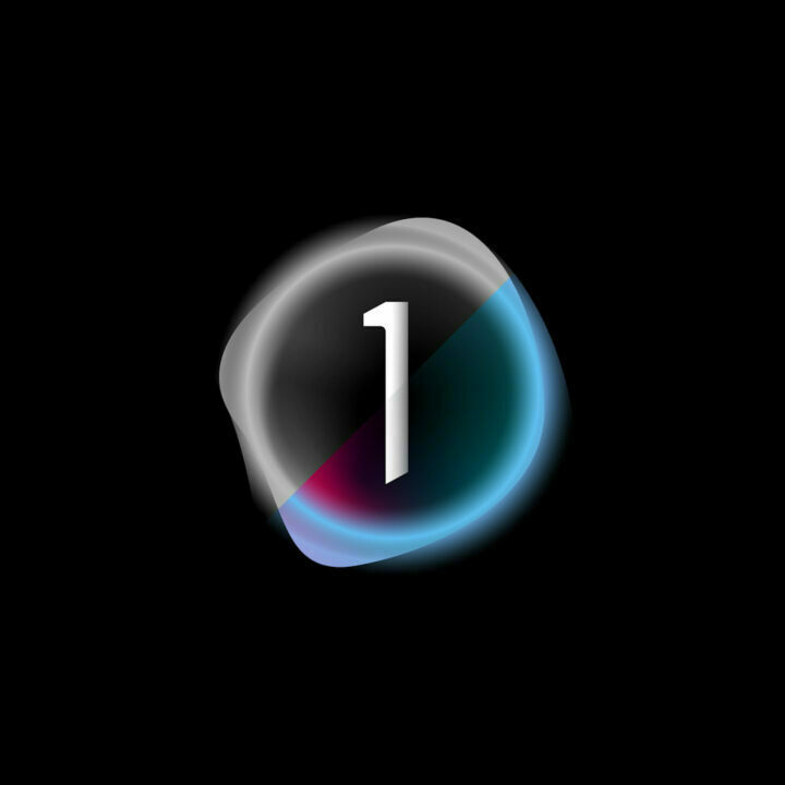 #5 – Capture One – retro preset pack